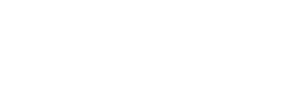 Deluzio & Company, LLP
